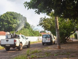 Fumacê percorre oito bairros nesta quinta.