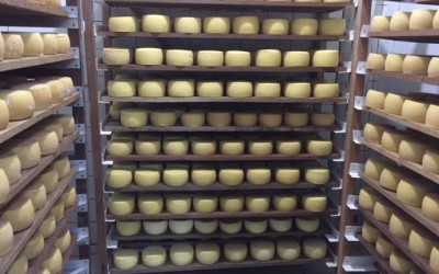 PREFEITURA ANUNCIA DATA DA FESTA DO QUEIJO EM ROCHEDINHO.