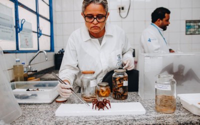 Além do atendimento médico, onde mais o SUS atua? 