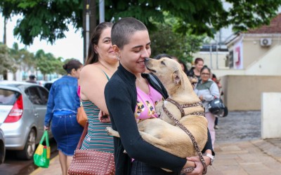 Feira de adoção oferece mais de 50 pets no domingo.
