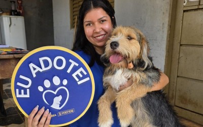 Cães e gatos resgatados buscam nova família no domingo.