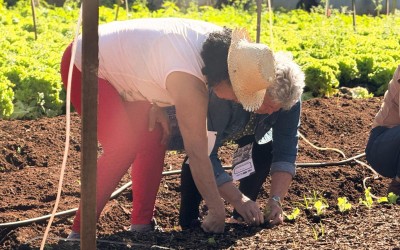 Dia de campo reúne idosos da Vila da Melhor Idade.
