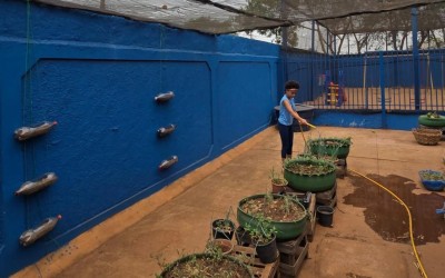 Escola da Reme vence prêmio nacional de educação ambiental.