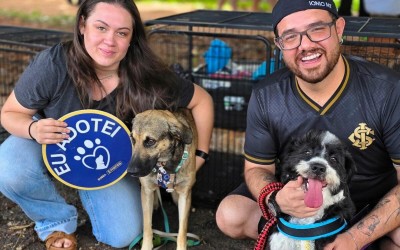 Adoção: Praça Bolívia sedia feira de cães neste domingo.