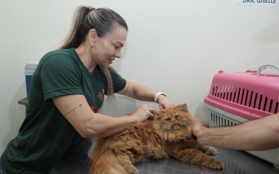 Consultório da Subea leva atendimento ao Jardim Carioca.