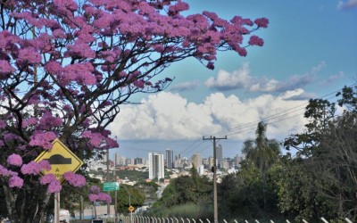 Semana tem avanços em habitação, obras e mobilidade.