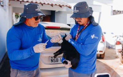 Vacinação antirrábica terá continuidade neste fim de semana.