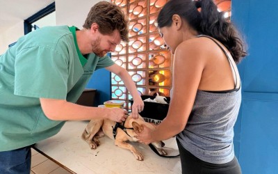 Atendimento veterinário gratuito chega ao Maria Pedrossian.