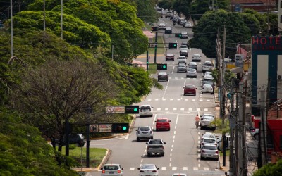 Dia da Árvore reforça importância da arborização na Capital.