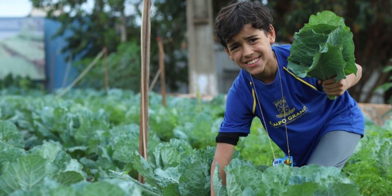 Estudantes da Reme aprendem sobre sustentabilidade na UTA.