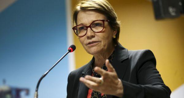 Tereza Cristina minimiza risco em casos de 'vaca louca'  