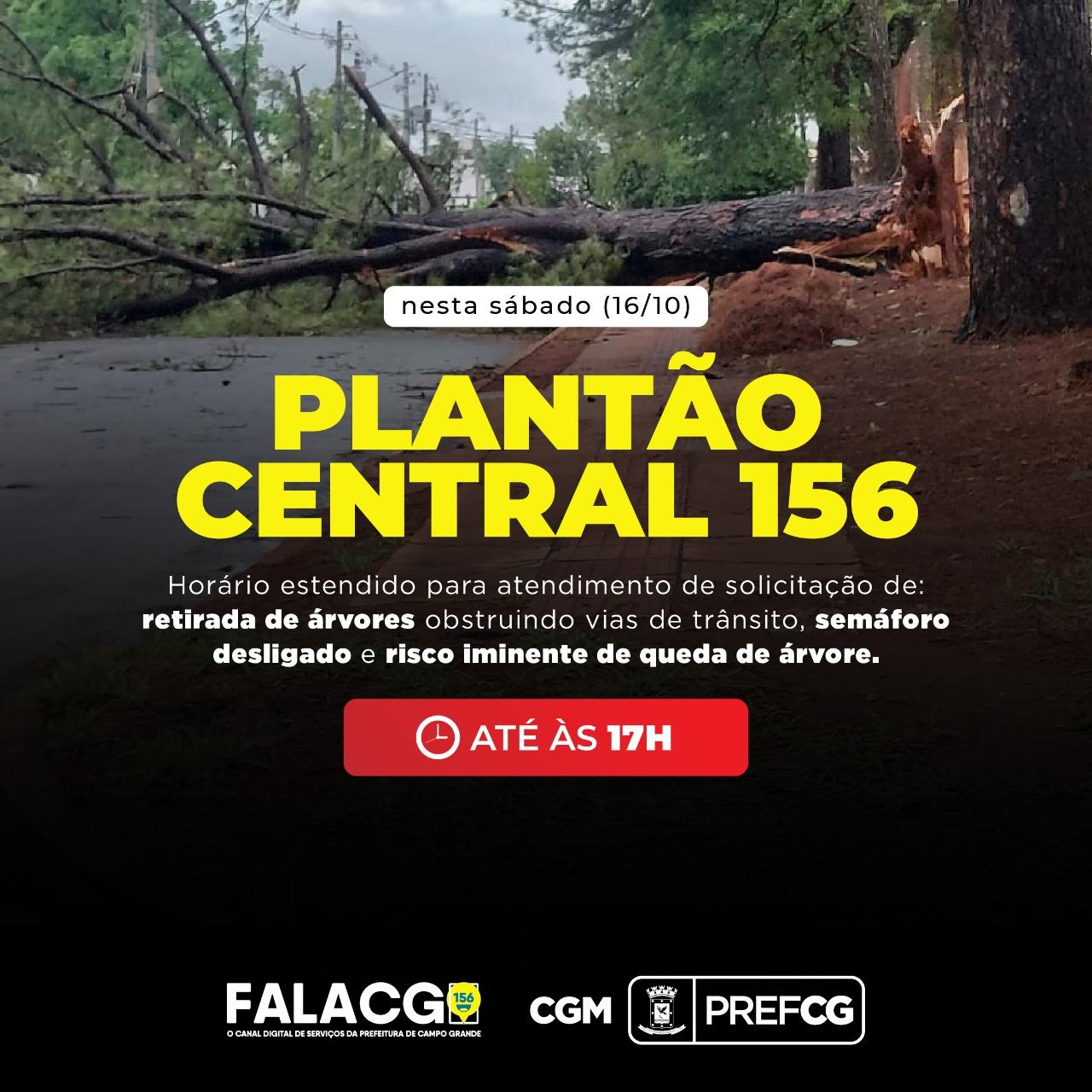 Central 156 programa horário de atendimento neste Sábado  