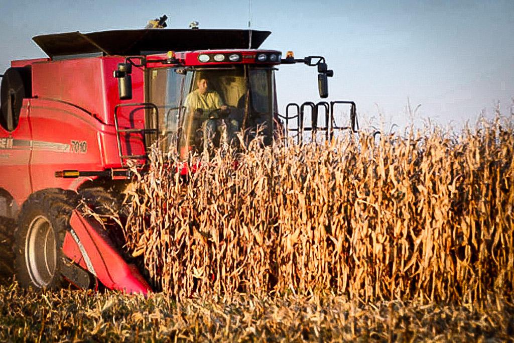 Governo Federal concede subsídio de 20% para seguro rural paramétrico