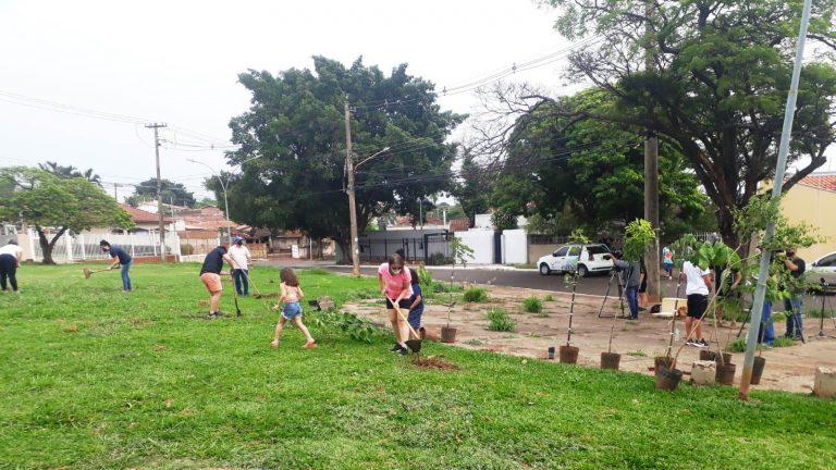 Prefeitura executa projeto desenvolvido por estudante, para florestar áreas com baixa densidade arbórea.
