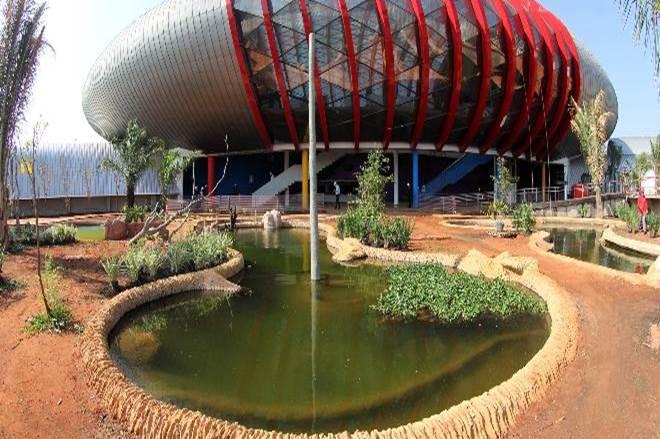 Aquário do Pantanal será gerido por empresa com atrações em Fernando de Noronha