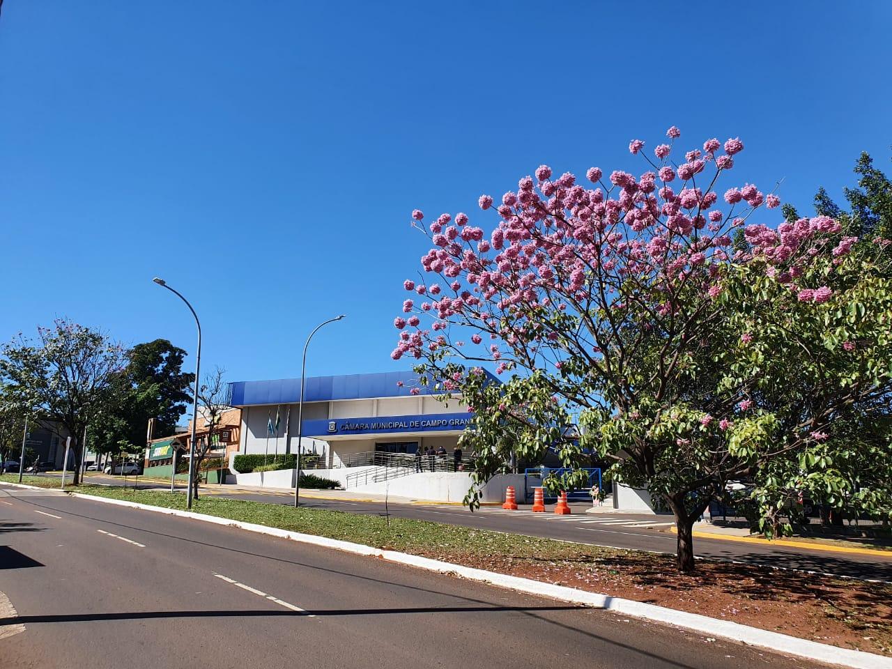 Vereadores votam cinco projetos e apreciam um veto na sessão desta terça-feira.