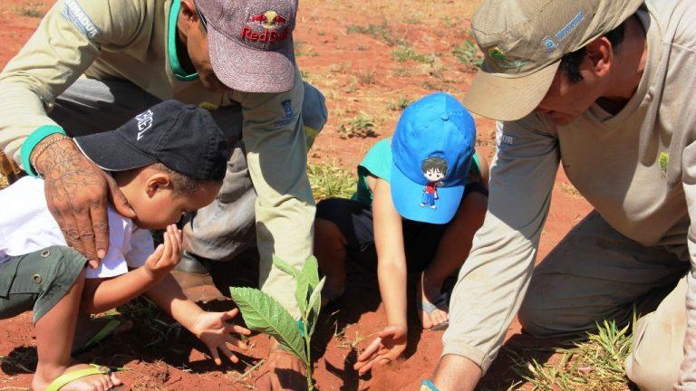 NA SEMANA DA ÁRVORE, PARQUE DO SÓTER RECEBE PLANTIO DE ÁRVORES NATIVAS E FRUTÍFERAS.