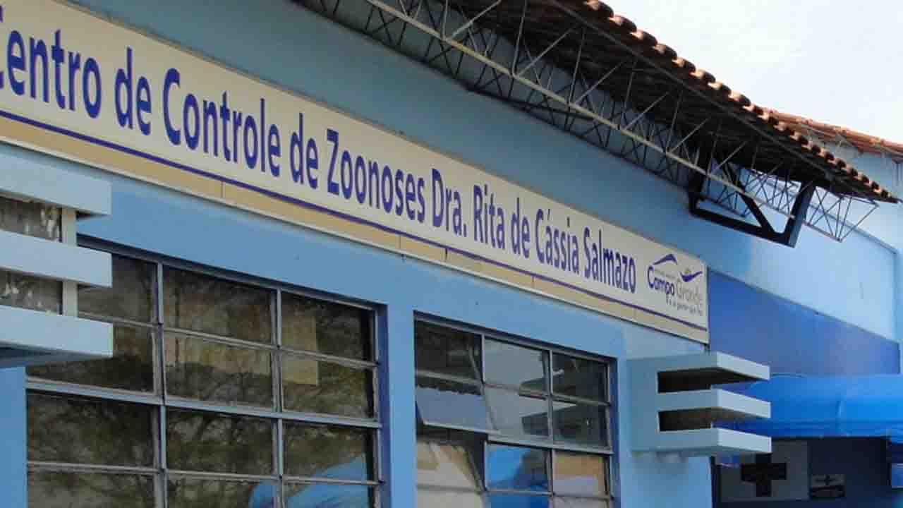 Campo Grande confirma 3° caso de raiva em morcegos e vai vacinar animais do Centro