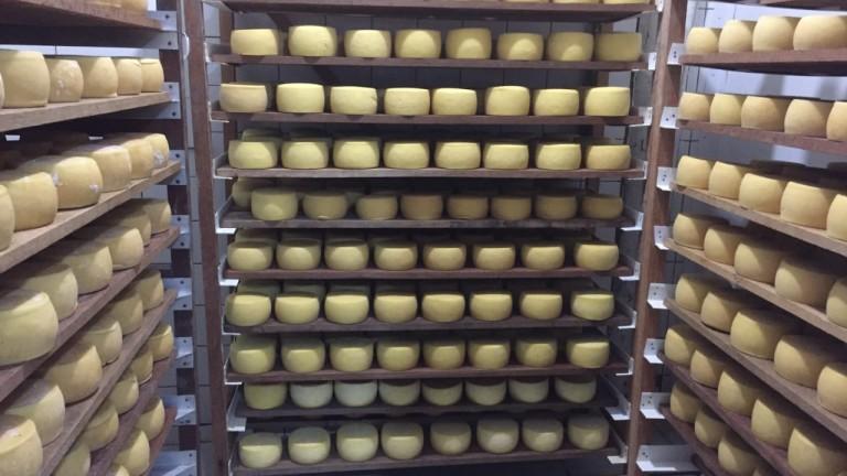 PREFEITURA ANUNCIA DATA DA FESTA DO QUEIJO EM ROCHEDINHO.