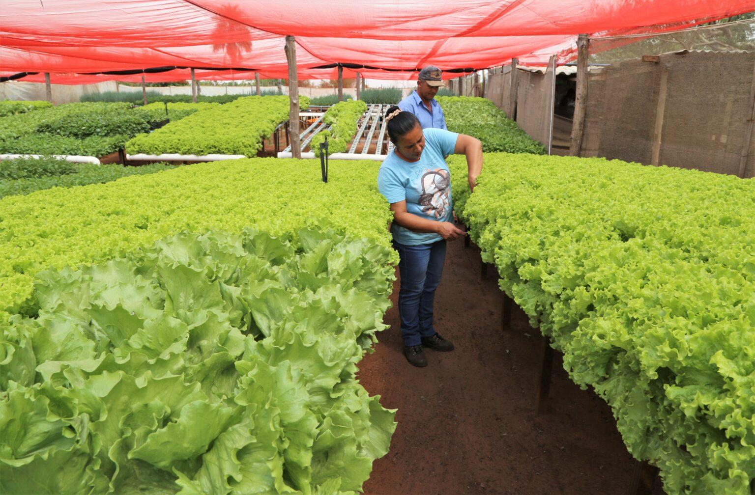 Cadastro do Produtor garante transparência em serviços prestados à agricultura familiar.