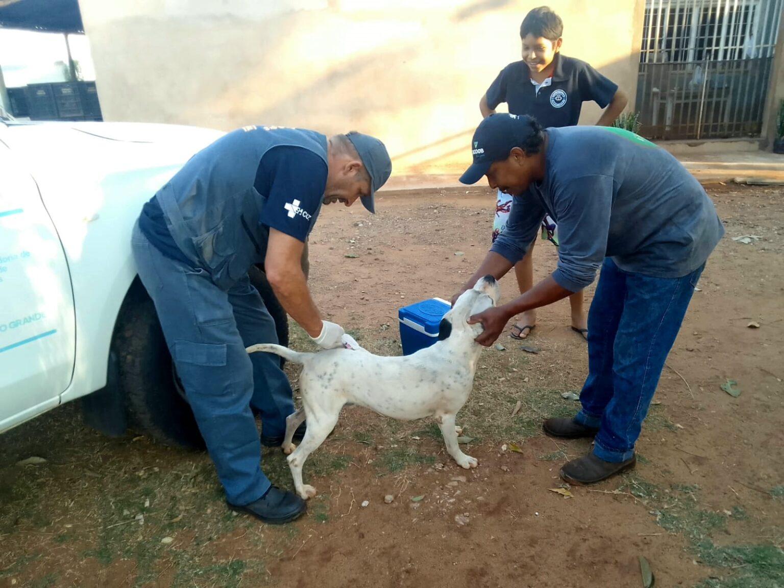 Prefeitura leva vacinação contra a Raiva a animais da Zona Rural.