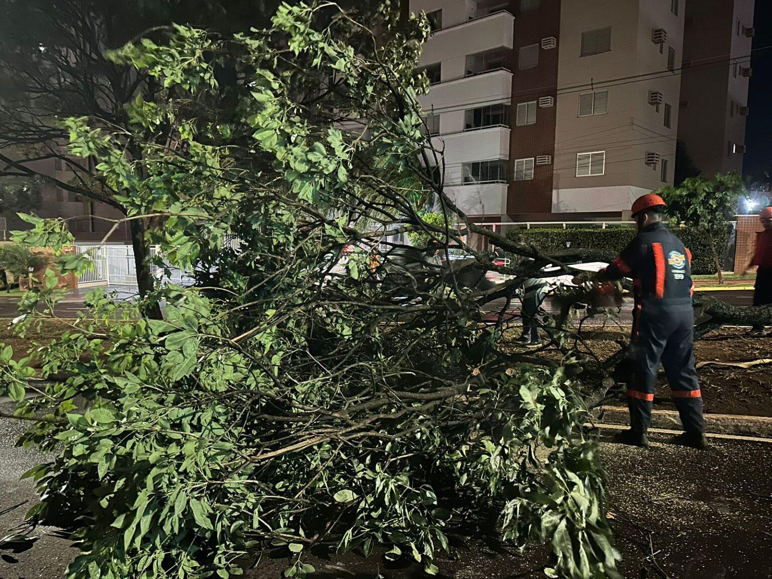 Prefeitura de Campo Grande age rapidamente após temporal causar estragos na cidade.