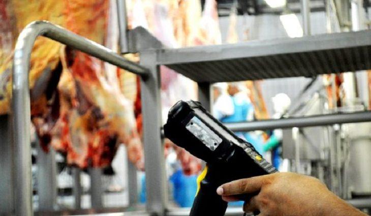 Governo aprimora Programa Precoce/MS para incentivar produção pecuária cada vez mais sustentável.