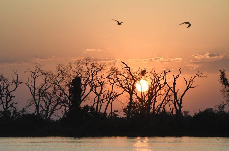 Nesta sexta-feira, sol retorna ao MS mas probabilidade de chuvas não deixa o estado.