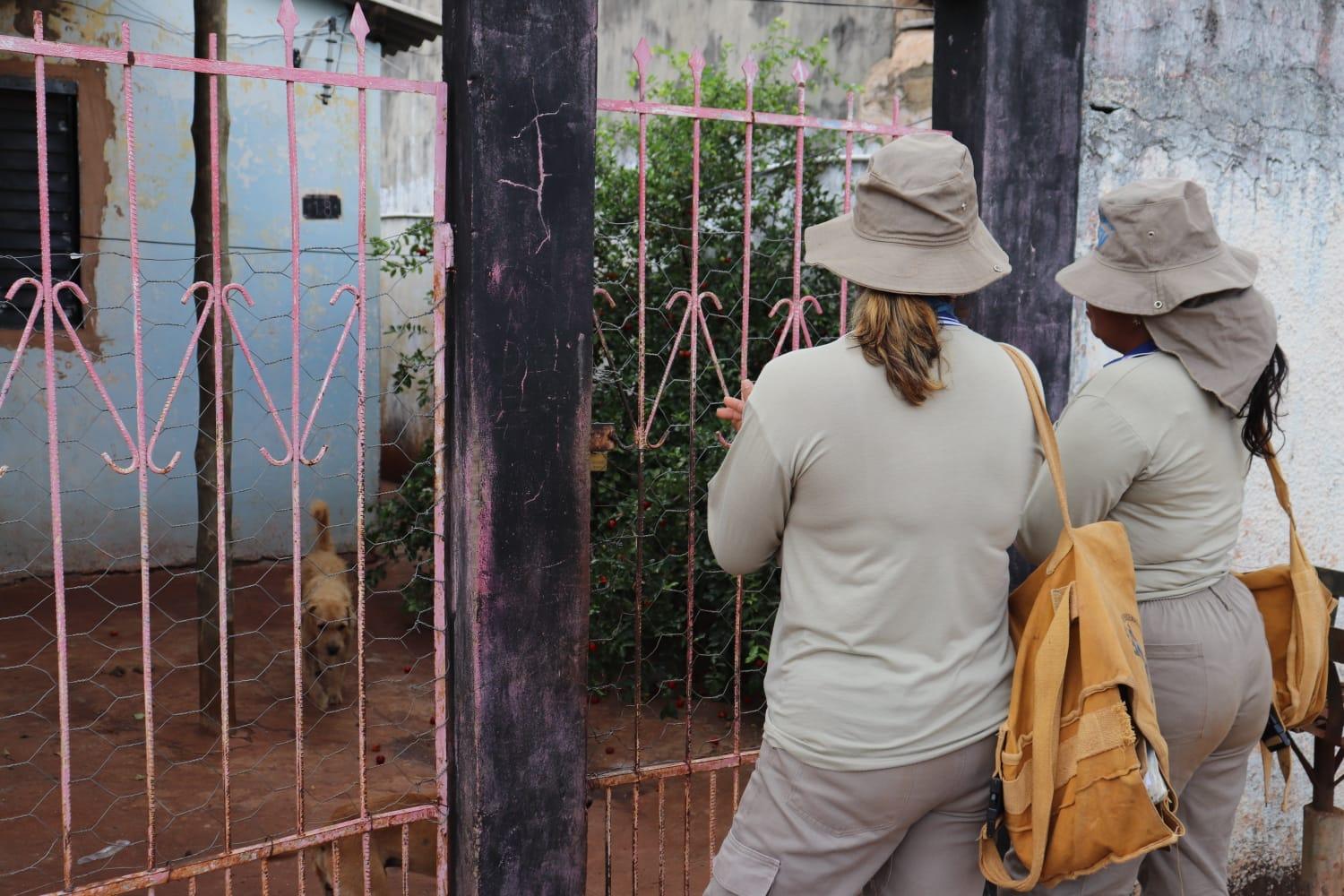 Operação Mosquito Zero: Prefeitura realiza mutirão de combate ao Aedes neste sábado no Bairro Rita Vieira.