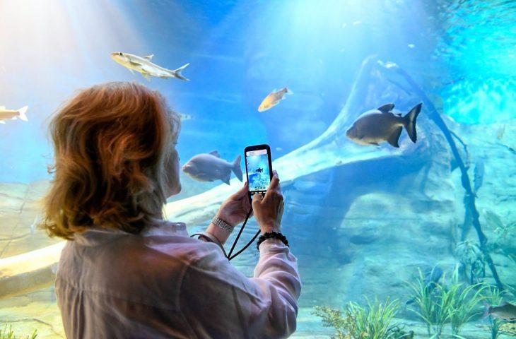Bioparque Pantanal está fechado para manutenção e reabre dia 9 de janeiro. 