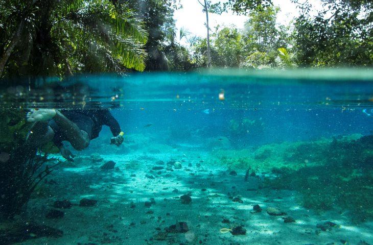 Com investimentos do Governo de MS, Bonito registra recorde de turistas com mais de 313 mil visitantes.