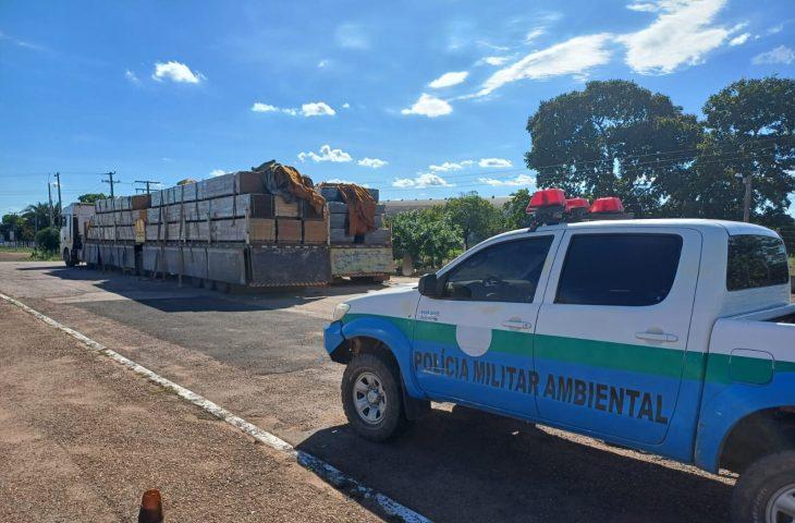 Operação Boas Festas da PMA capturou 89 animais e abordou mais de 420 pessoas em MS.
