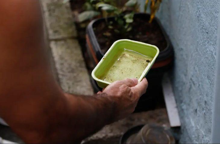Dicas simples podem livrar sua casa dos focos da dengue e se prevenir contra doença.