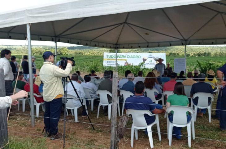 Governo incentiva o desenvolvimento da fruticultura para diversificar a base produtiva do Estado.