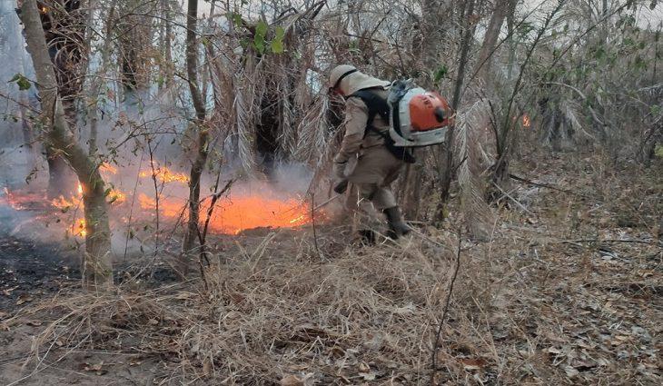 Semadesc e Comitê do Fogo realizam o 1º Seminário de Prevenção a Incêndios Florestais nos dias 21 e 22.