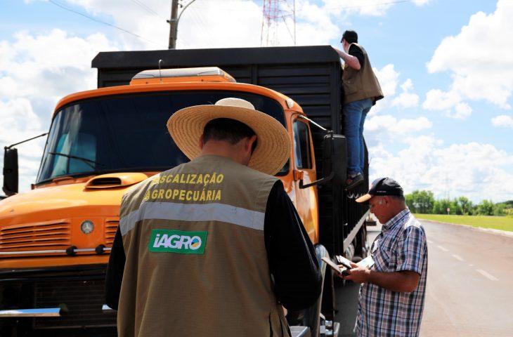 Com 29 vagas, Governo de MS autoriza concurso para área de fiscalização e defesa sanitária na Iagro.