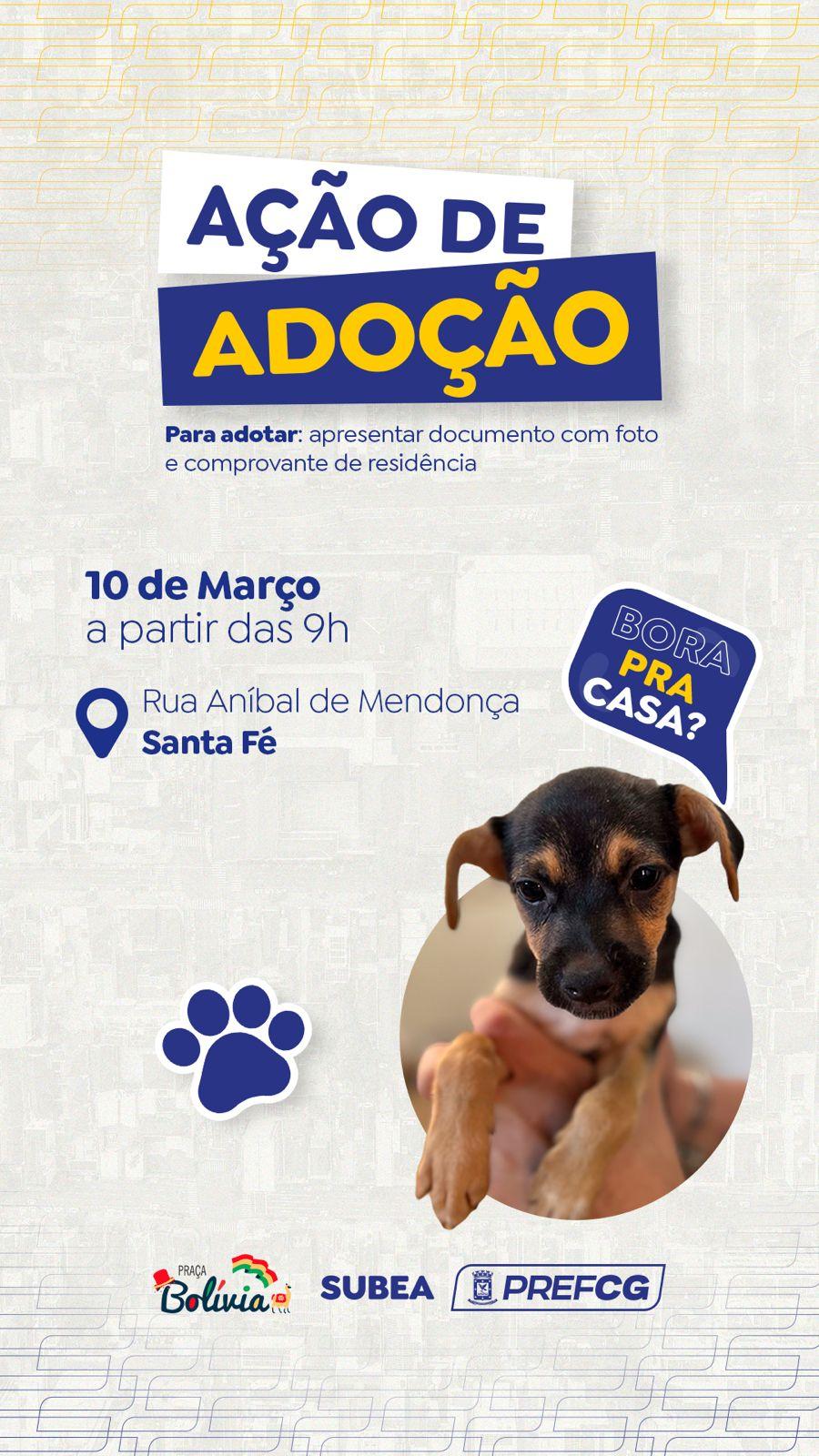 Prefeitura realiza feira de adoção de pets neste domingo.