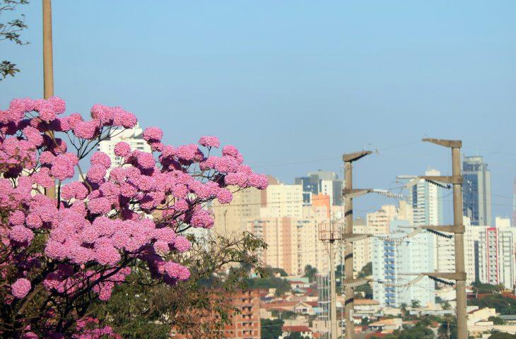 Semana começa com temperaturas altas e calor intenso no Estado.