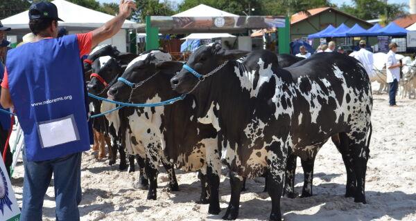 Expogrande 2024 supera todas as expectativas e fatura R$ 576,8 milhões.