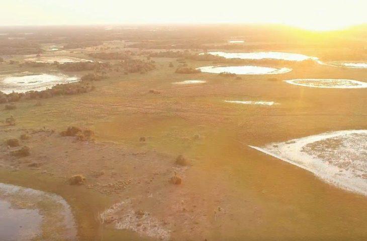 Imasul convoca proprietários de imóveis no Pantanal com processos em andamento para adequação à nova lei.