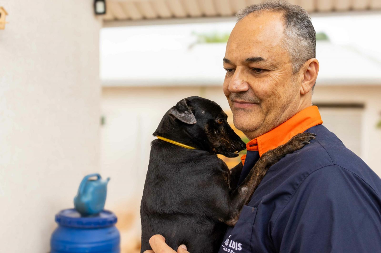 Proposta pelo vereador Prof. André Luis, identificação de cães é aprovada na Câmara.