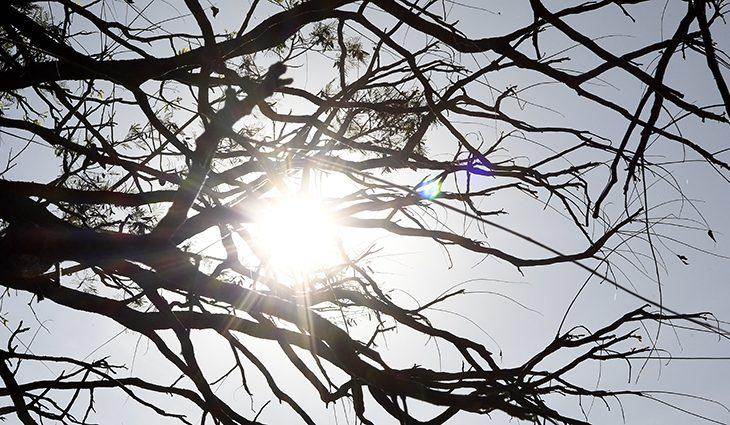 Temperaturas acima da média e tempo seco são destaques na previsão desta terça-feira.