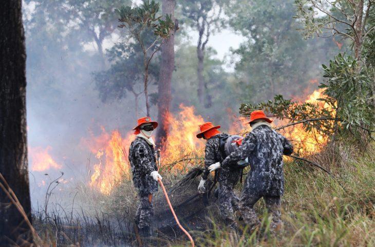 Sob coordenação dos bombeiros de MS, Força Nacional já atua no combate ao fogo no Pantanal.