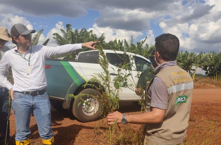 Governo de MS publica abertura de concurso da Iagro com 29 vagas para médico veterinário.