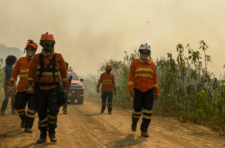 Pantanal: força-tarefa segue ativa para prevenir e combater incêndios em nova onda de calor e tempo seco.