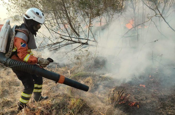 Mulheres têm papel de destaque no combate aos incêndios no Pantanal.