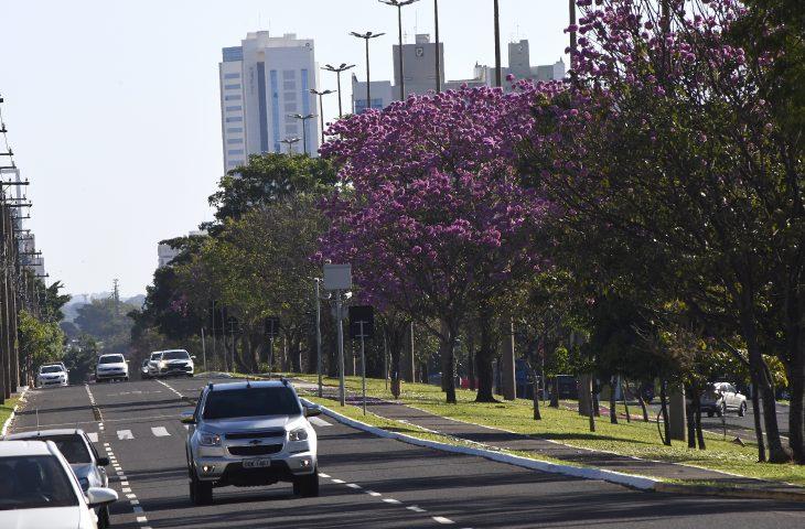 Terça-feira promete ser de sol e tempo firme em Mato Grosso do Sul, mas frio permanece.