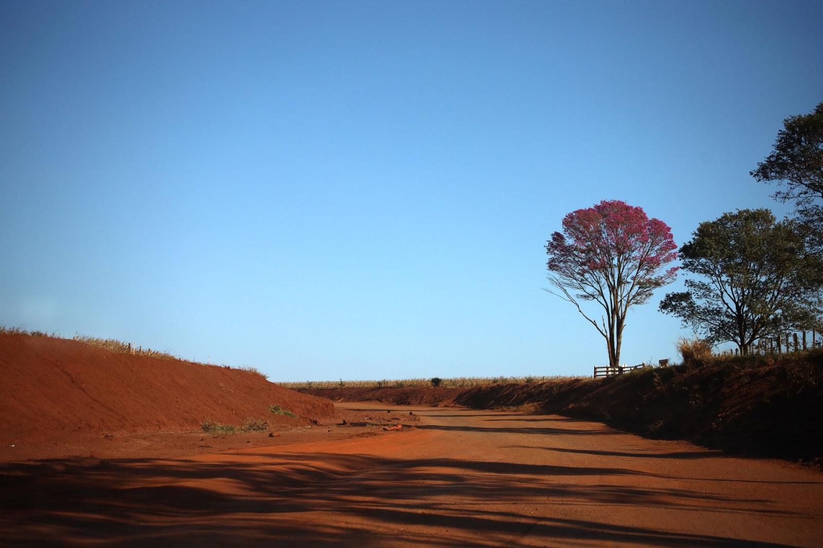 Com temperaturas acima da média e baixa umidade do ar, tempo permanece estável nesta terça-feira.