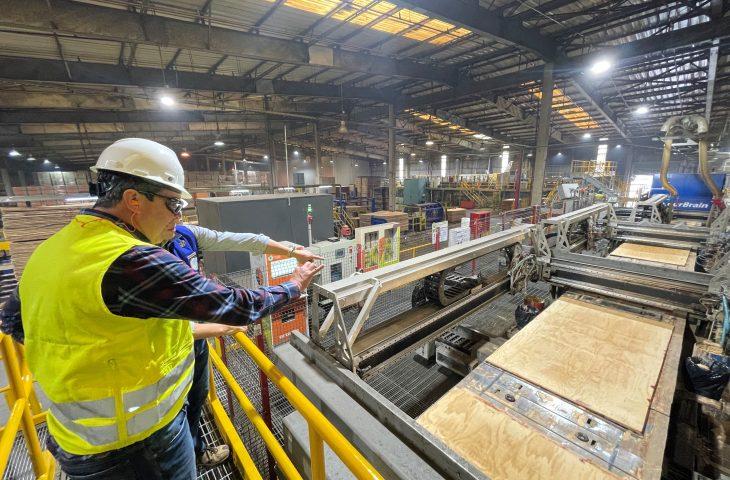 Vale da Celulose: Arauco aprova R$ 25 bi em investimento que garante desenvolvimento em MS.