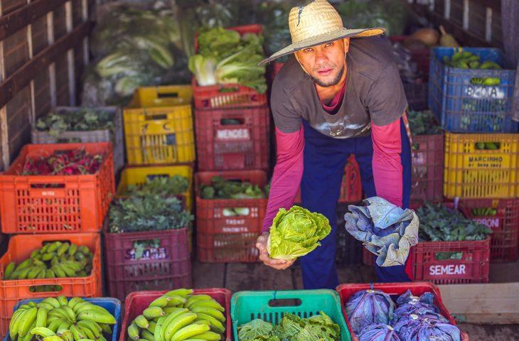 SES celebra 10 anos do Guia Alimentar Brasileiro com web aula sobre inclusão e promoção da saúde.